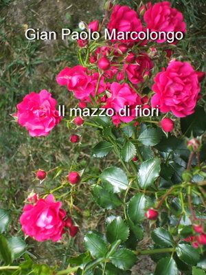 cover image of Il mazzo di fiori